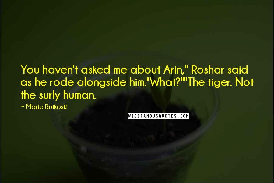 Marie Rutkoski Quotes: You haven't asked me about Arin," Roshar said as he rode alongside him."What?""The tiger. Not the surly human.