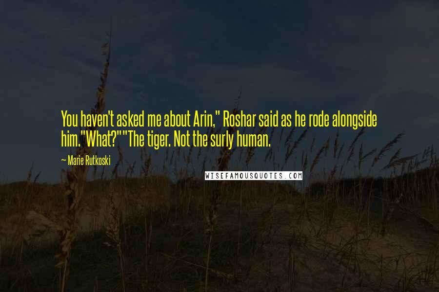 Marie Rutkoski Quotes: You haven't asked me about Arin," Roshar said as he rode alongside him."What?""The tiger. Not the surly human.