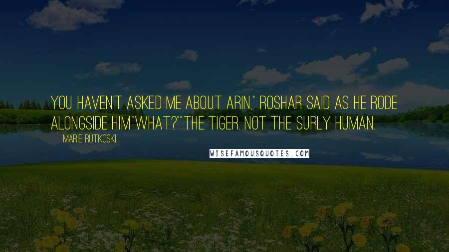 Marie Rutkoski Quotes: You haven't asked me about Arin," Roshar said as he rode alongside him."What?""The tiger. Not the surly human.