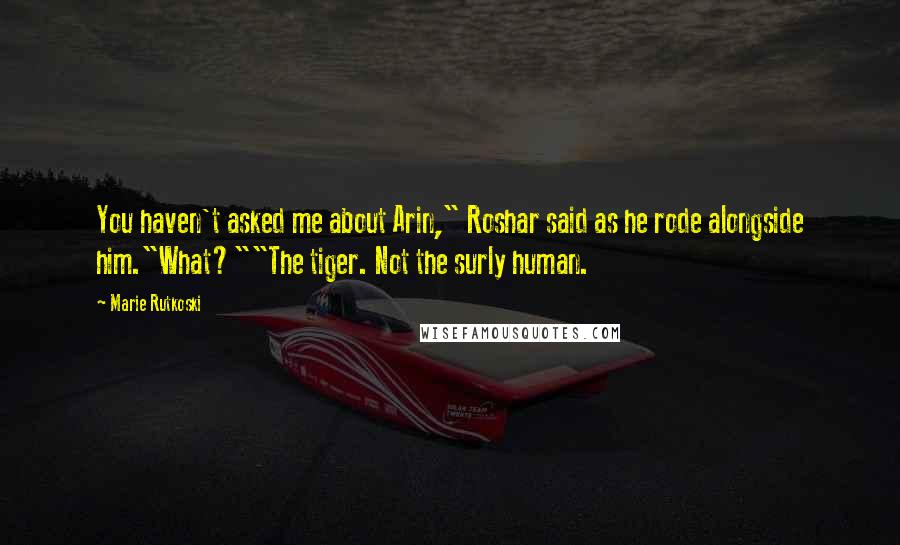 Marie Rutkoski Quotes: You haven't asked me about Arin," Roshar said as he rode alongside him."What?""The tiger. Not the surly human.