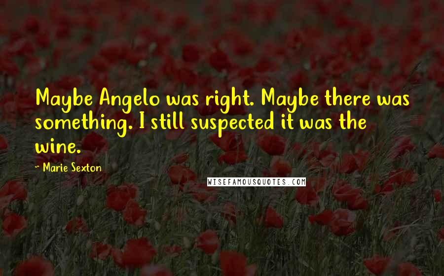 Marie Sexton Quotes: Maybe Angelo was right. Maybe there was something. I still suspected it was the wine.