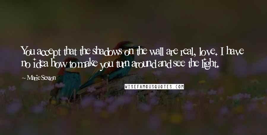 Marie Sexton Quotes: You accept that the shadows on the wall are real, love. I have no idea how to make you turn around and see the light.