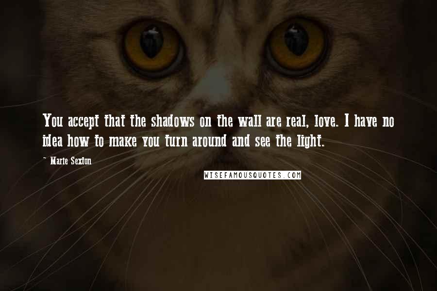 Marie Sexton Quotes: You accept that the shadows on the wall are real, love. I have no idea how to make you turn around and see the light.