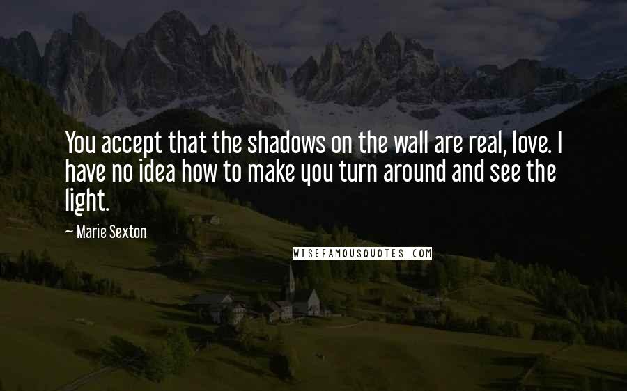 Marie Sexton Quotes: You accept that the shadows on the wall are real, love. I have no idea how to make you turn around and see the light.