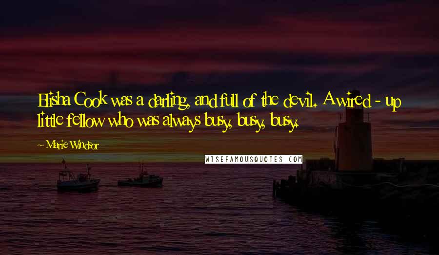 Marie Windsor Quotes: Elisha Cook was a darling, and full of the devil. A wired - up little fellow who was always busy, busy, busy.