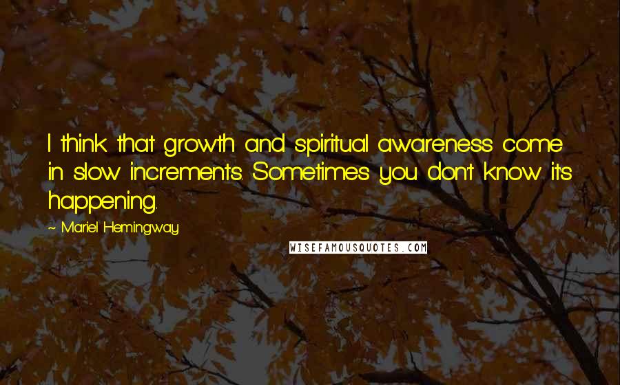 Mariel Hemingway Quotes: I think that growth and spiritual awareness come in slow increments. Sometimes you don't know it's happening.