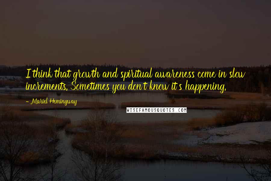 Mariel Hemingway Quotes: I think that growth and spiritual awareness come in slow increments. Sometimes you don't know it's happening.