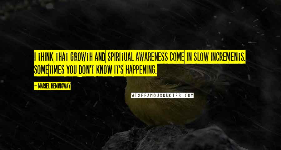 Mariel Hemingway Quotes: I think that growth and spiritual awareness come in slow increments. Sometimes you don't know it's happening.