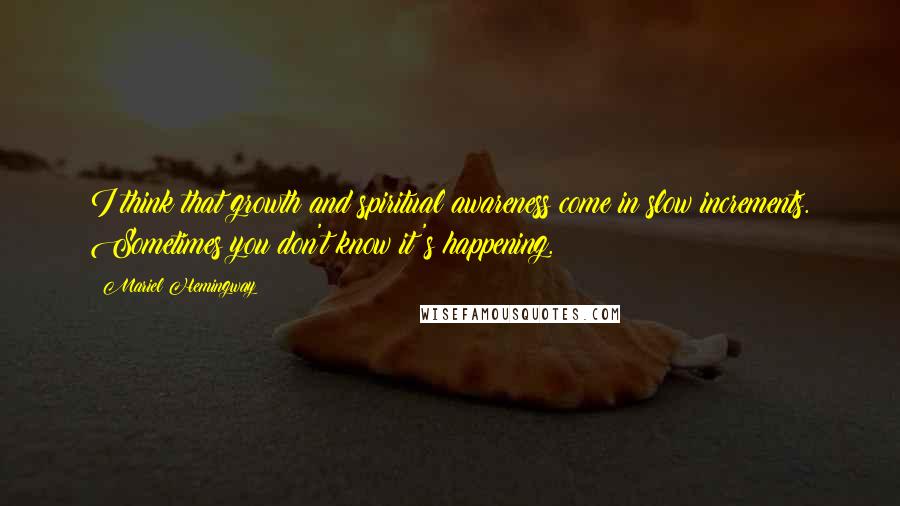 Mariel Hemingway Quotes: I think that growth and spiritual awareness come in slow increments. Sometimes you don't know it's happening.