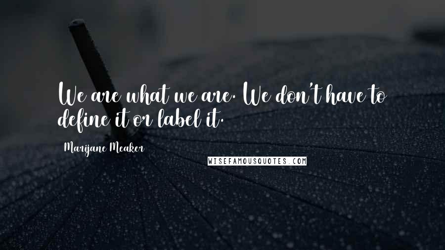 Marijane Meaker Quotes: We are what we are. We don't have to define it or label it.