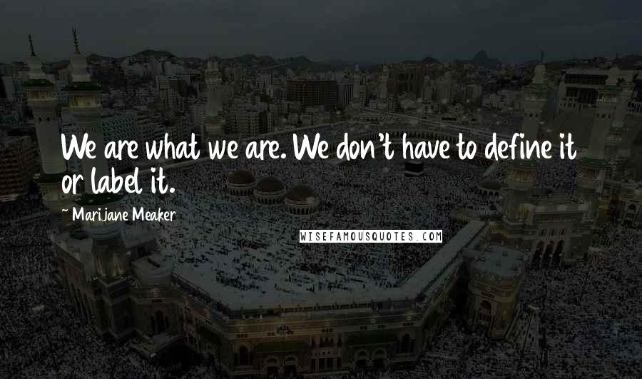 Marijane Meaker Quotes: We are what we are. We don't have to define it or label it.
