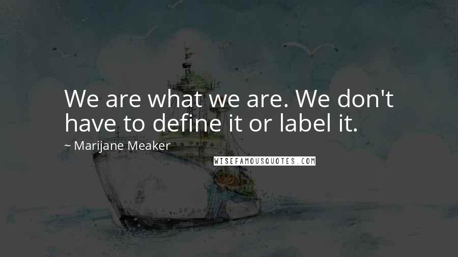 Marijane Meaker Quotes: We are what we are. We don't have to define it or label it.