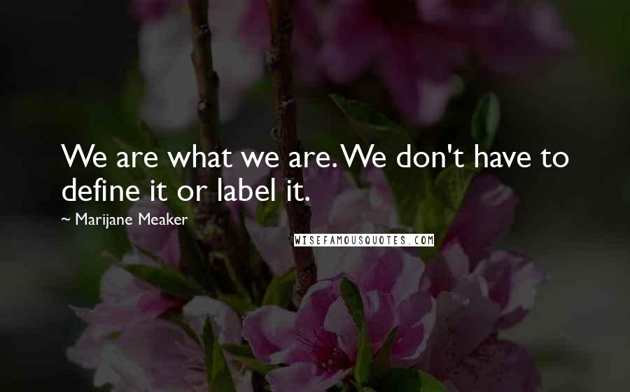 Marijane Meaker Quotes: We are what we are. We don't have to define it or label it.