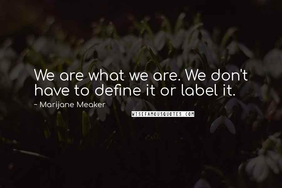 Marijane Meaker Quotes: We are what we are. We don't have to define it or label it.