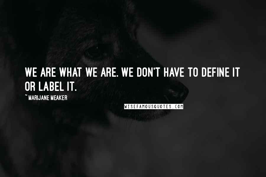 Marijane Meaker Quotes: We are what we are. We don't have to define it or label it.