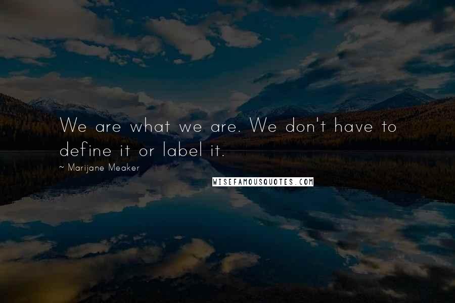 Marijane Meaker Quotes: We are what we are. We don't have to define it or label it.