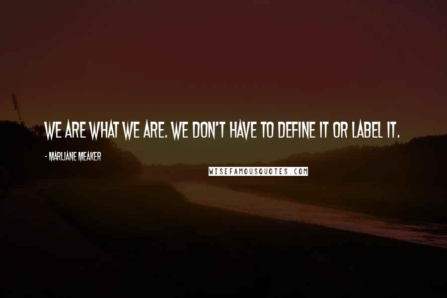 Marijane Meaker Quotes: We are what we are. We don't have to define it or label it.