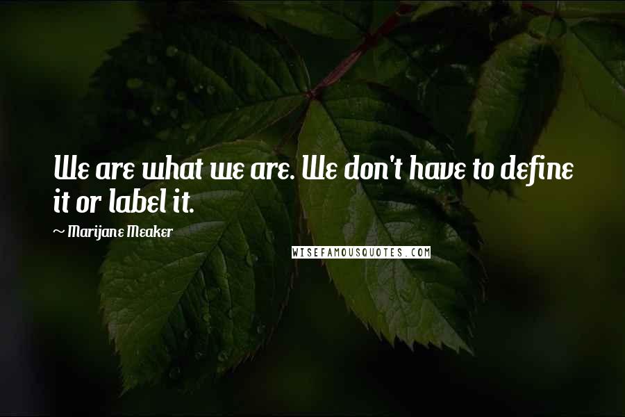 Marijane Meaker Quotes: We are what we are. We don't have to define it or label it.