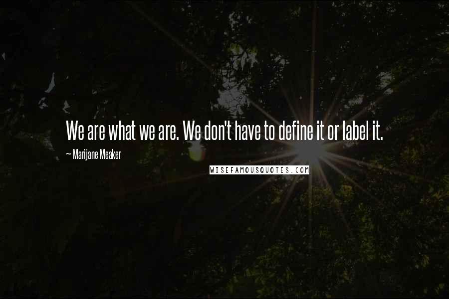Marijane Meaker Quotes: We are what we are. We don't have to define it or label it.