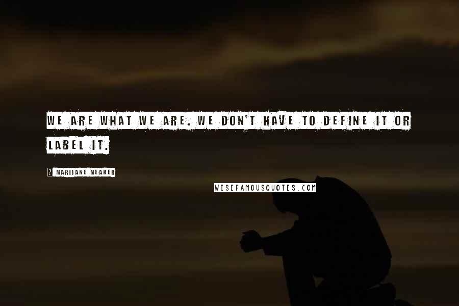 Marijane Meaker Quotes: We are what we are. We don't have to define it or label it.