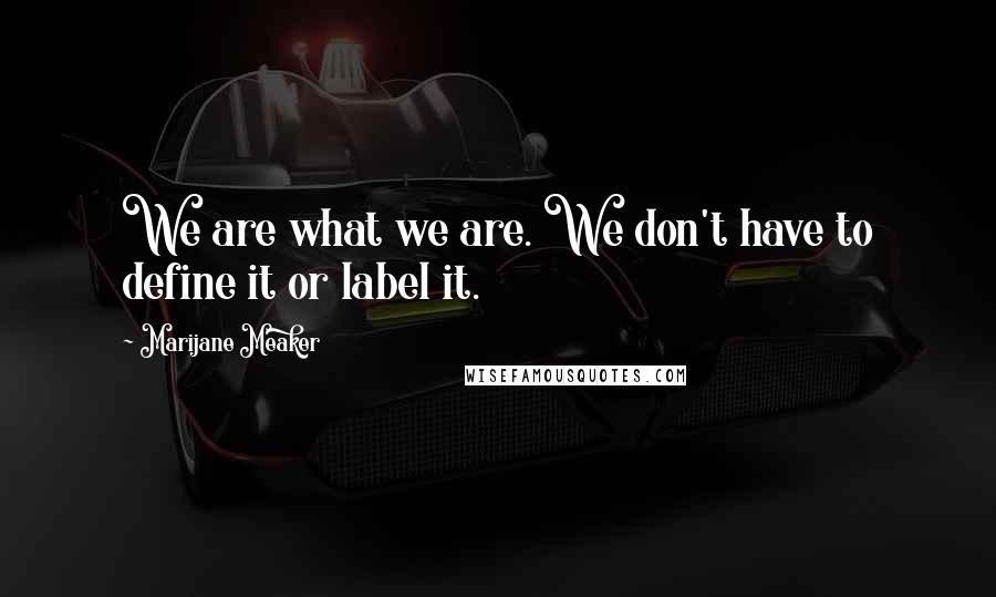 Marijane Meaker Quotes: We are what we are. We don't have to define it or label it.