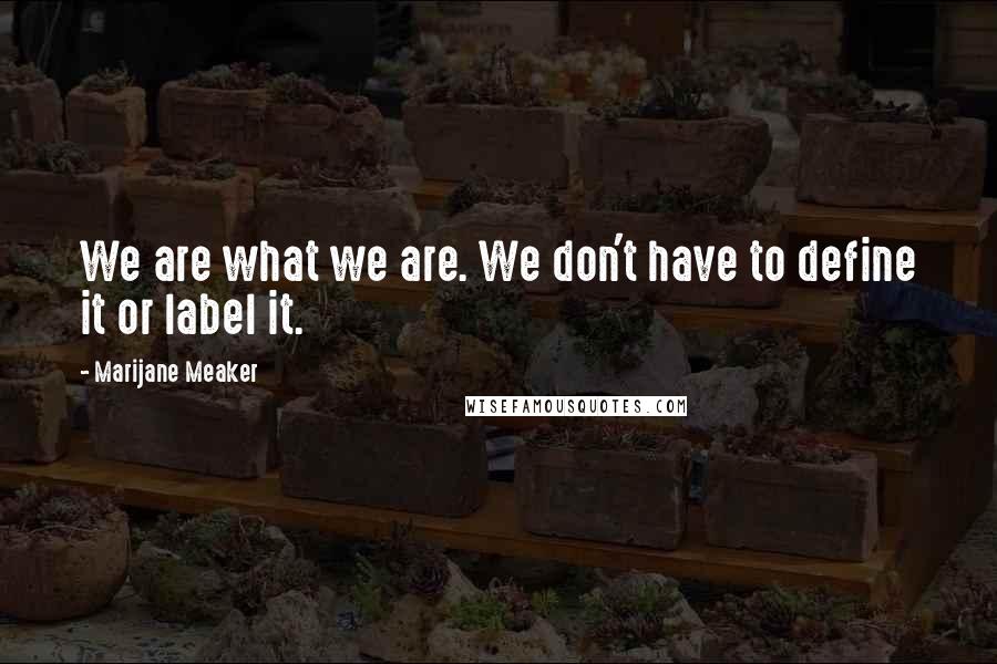 Marijane Meaker Quotes: We are what we are. We don't have to define it or label it.