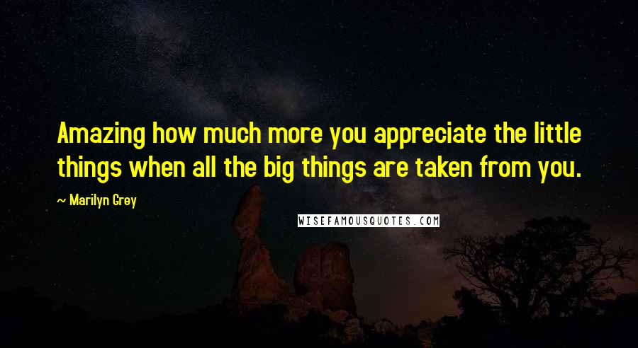 Marilyn Grey Quotes: Amazing how much more you appreciate the little things when all the big things are taken from you.