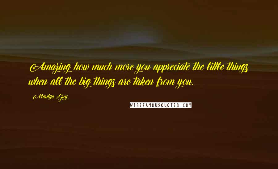 Marilyn Grey Quotes: Amazing how much more you appreciate the little things when all the big things are taken from you.