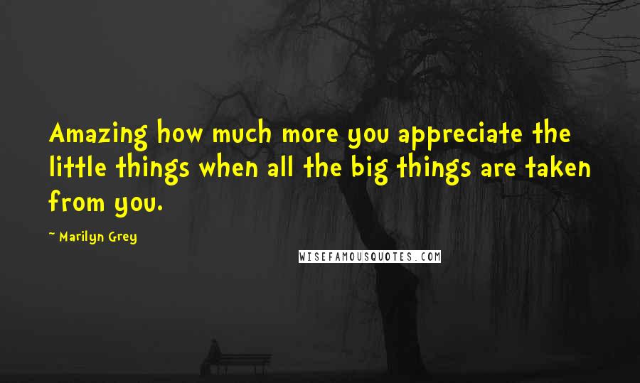 Marilyn Grey Quotes: Amazing how much more you appreciate the little things when all the big things are taken from you.