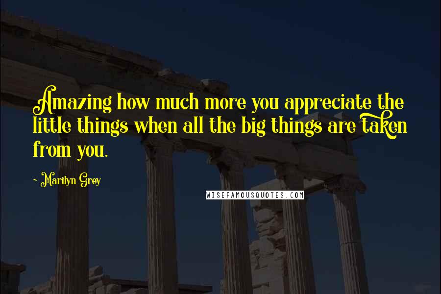 Marilyn Grey Quotes: Amazing how much more you appreciate the little things when all the big things are taken from you.