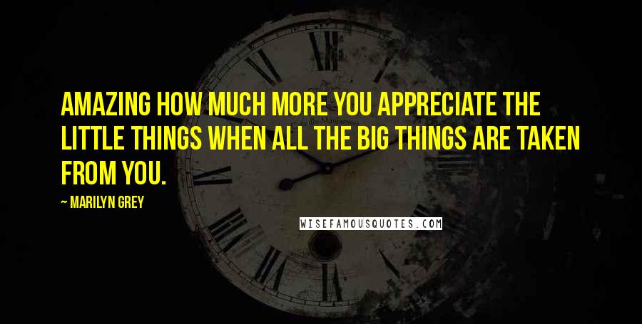 Marilyn Grey Quotes: Amazing how much more you appreciate the little things when all the big things are taken from you.