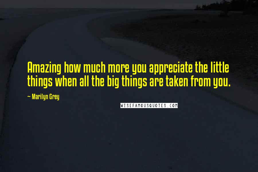 Marilyn Grey Quotes: Amazing how much more you appreciate the little things when all the big things are taken from you.