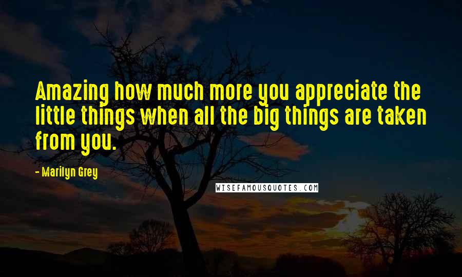 Marilyn Grey Quotes: Amazing how much more you appreciate the little things when all the big things are taken from you.