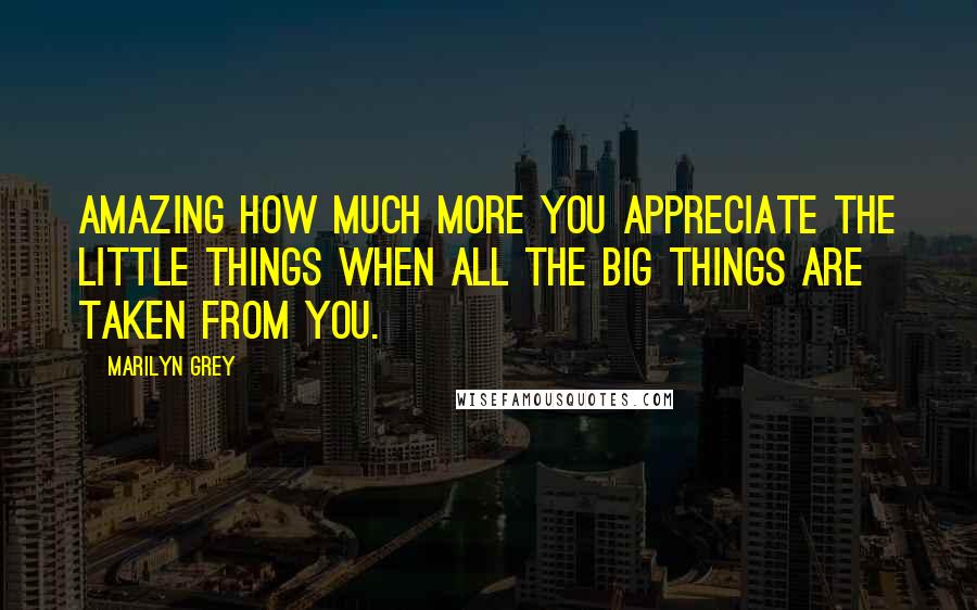 Marilyn Grey Quotes: Amazing how much more you appreciate the little things when all the big things are taken from you.