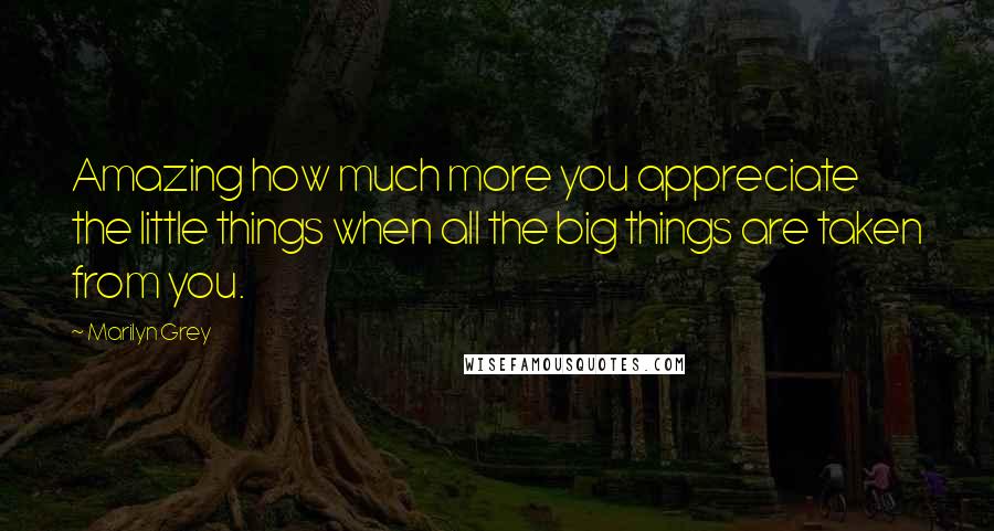 Marilyn Grey Quotes: Amazing how much more you appreciate the little things when all the big things are taken from you.