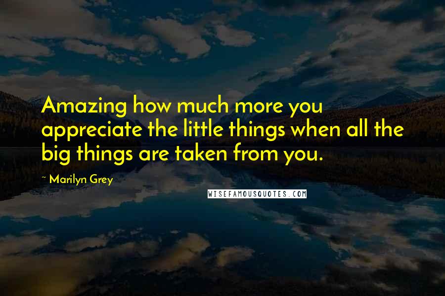 Marilyn Grey Quotes: Amazing how much more you appreciate the little things when all the big things are taken from you.