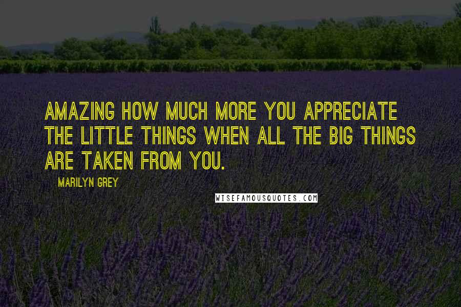 Marilyn Grey Quotes: Amazing how much more you appreciate the little things when all the big things are taken from you.