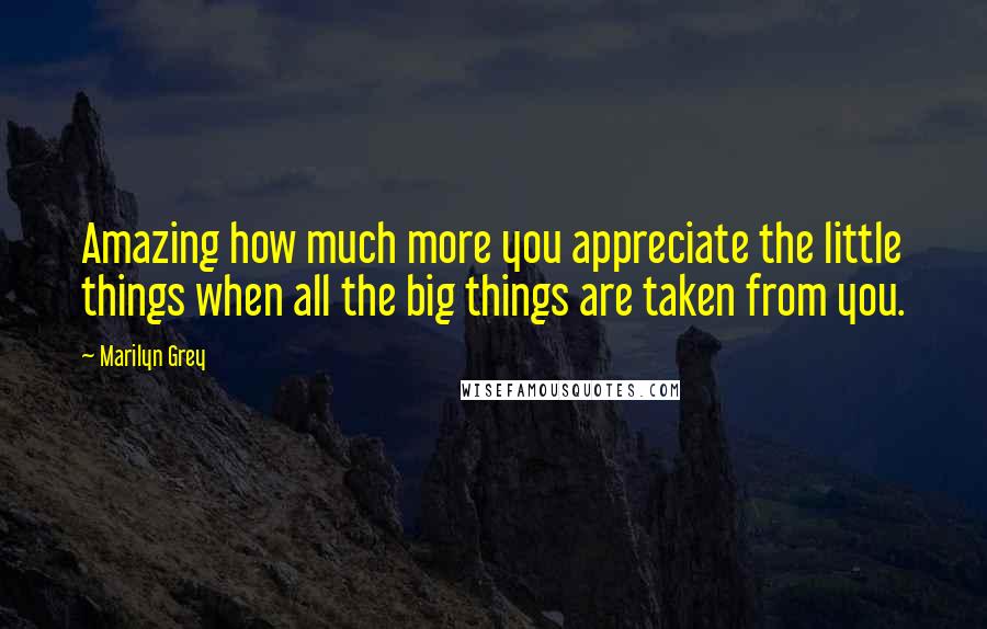 Marilyn Grey Quotes: Amazing how much more you appreciate the little things when all the big things are taken from you.