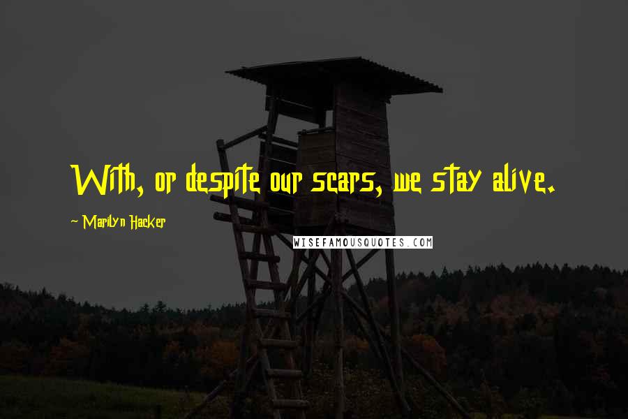 Marilyn Hacker Quotes: With, or despite our scars, we stay alive.