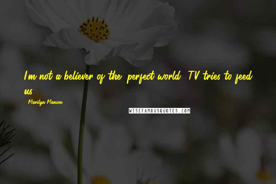 Marilyn Manson Quotes: I'm not a believer of the "perfect world" TV tries to feed us.