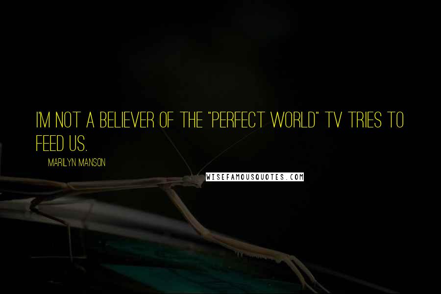 Marilyn Manson Quotes: I'm not a believer of the "perfect world" TV tries to feed us.