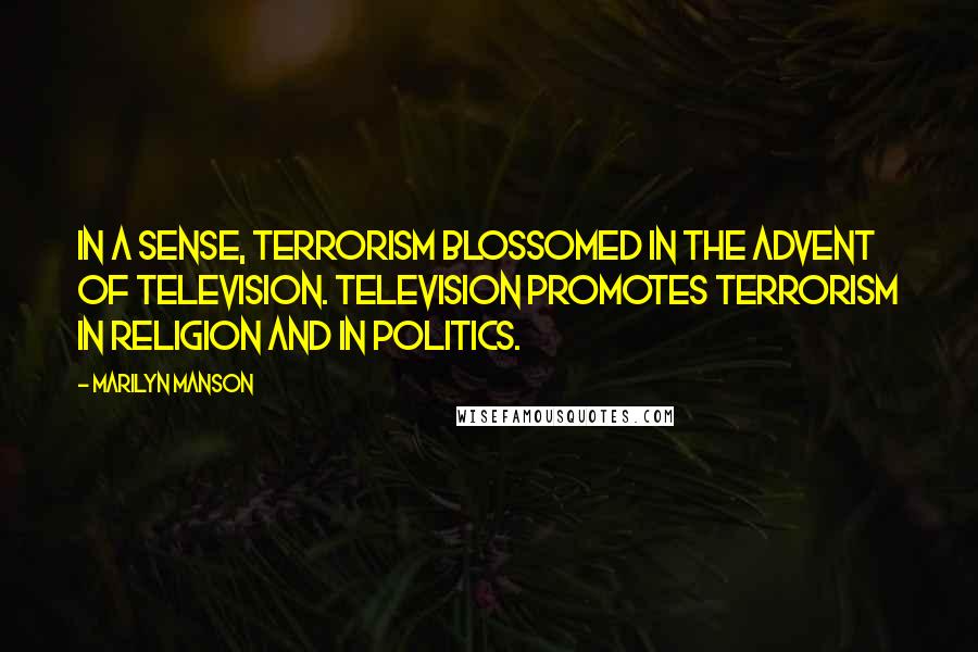 Marilyn Manson Quotes: In a sense, terrorism blossomed in the advent of television. Television promotes terrorism in religion and in politics.