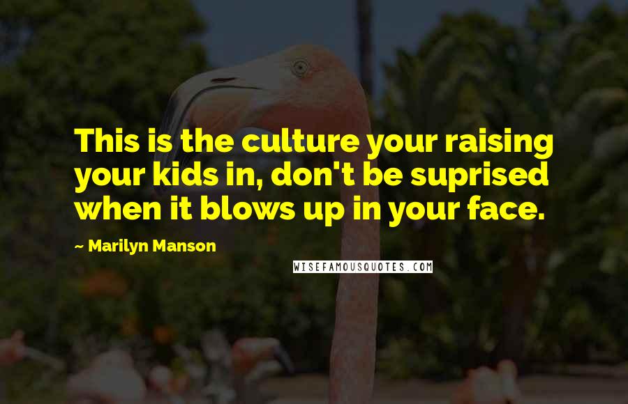 Marilyn Manson Quotes: This is the culture your raising your kids in, don't be suprised when it blows up in your face.