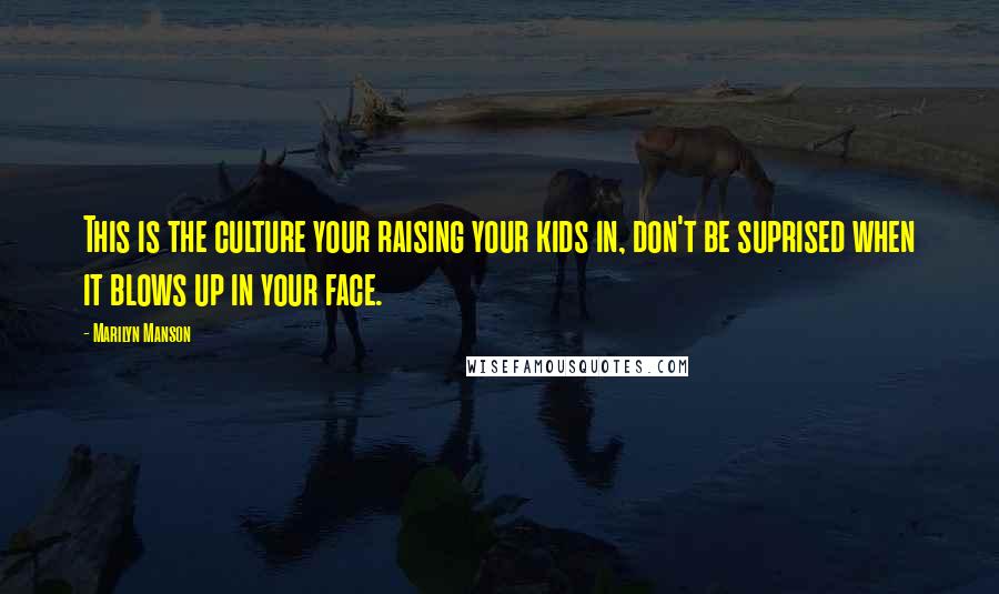 Marilyn Manson Quotes: This is the culture your raising your kids in, don't be suprised when it blows up in your face.