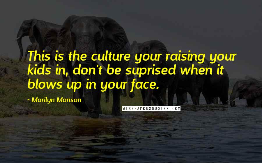 Marilyn Manson Quotes: This is the culture your raising your kids in, don't be suprised when it blows up in your face.