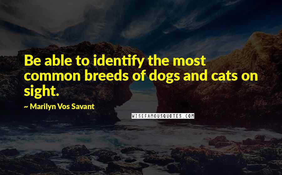 Marilyn Vos Savant Quotes: Be able to identify the most common breeds of dogs and cats on sight.