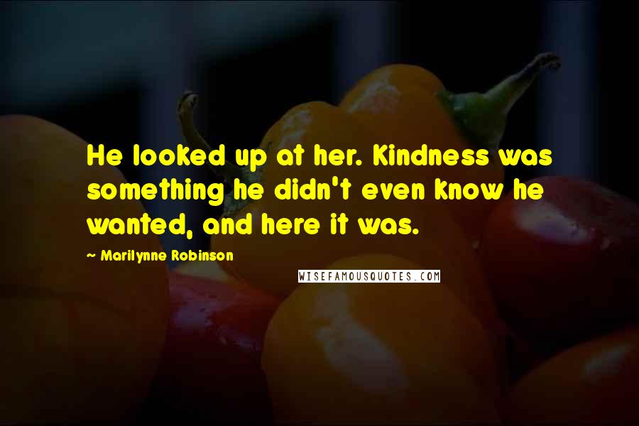 Marilynne Robinson Quotes: He looked up at her. Kindness was something he didn't even know he wanted, and here it was.