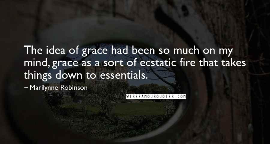 Marilynne Robinson Quotes: The idea of grace had been so much on my mind, grace as a sort of ecstatic fire that takes things down to essentials.