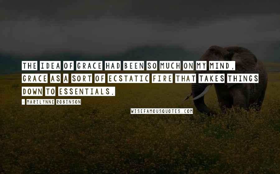 Marilynne Robinson Quotes: The idea of grace had been so much on my mind, grace as a sort of ecstatic fire that takes things down to essentials.
