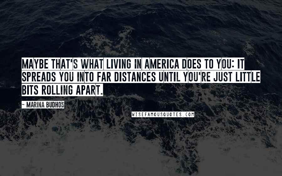 Marina Budhos Quotes: Maybe that's what living in America does to you: it spreads you into far distances until you're just little bits rolling apart.